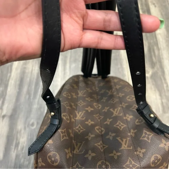 LOUIS VUITTON - Monogram Palm Springs PM - Picture 3 of 14